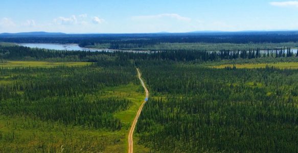 ITOC: Boreal Forest Stories