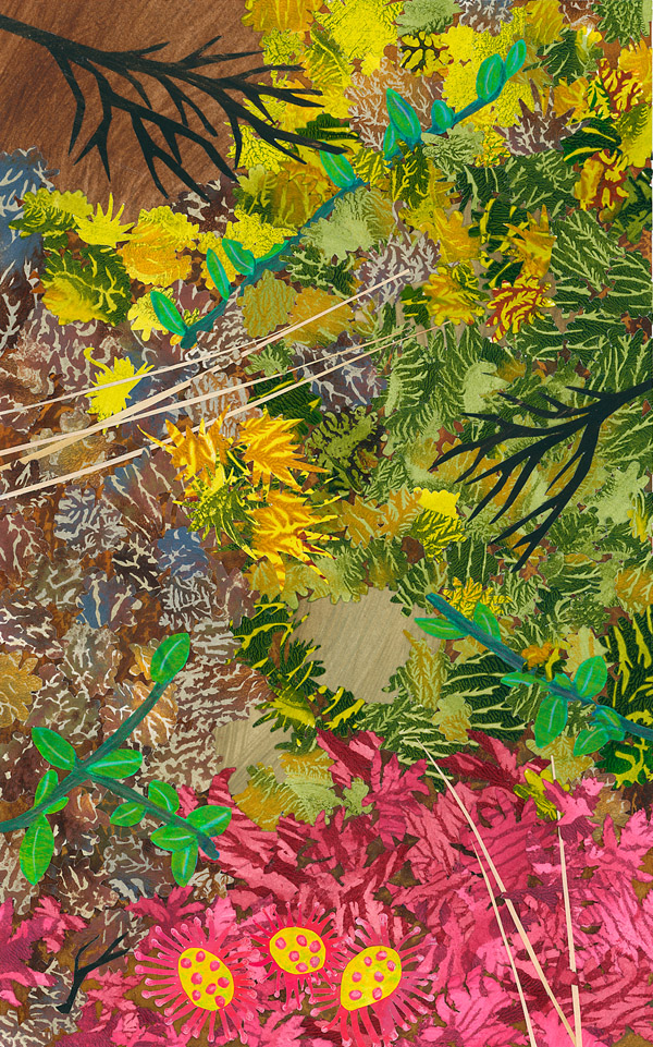 Boreal Forest Inspiration Story Cards