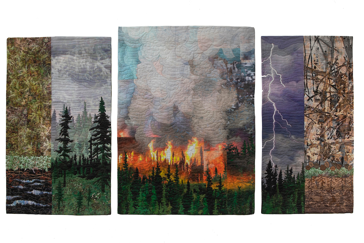 Boreal Forest Roulette