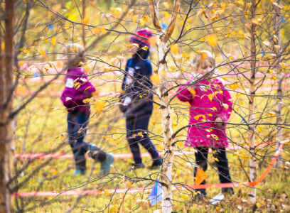 OneTree Alaska: Every Tree Tells a Story