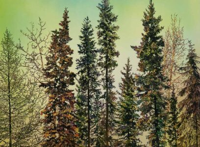 Treeline