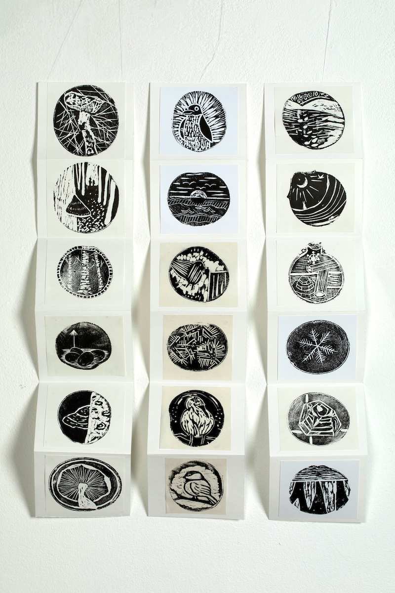 The Folk School: Science and Art Series