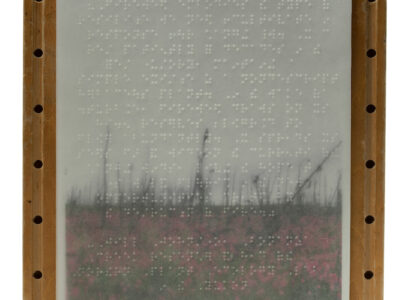 Seed Songs and Love Stories