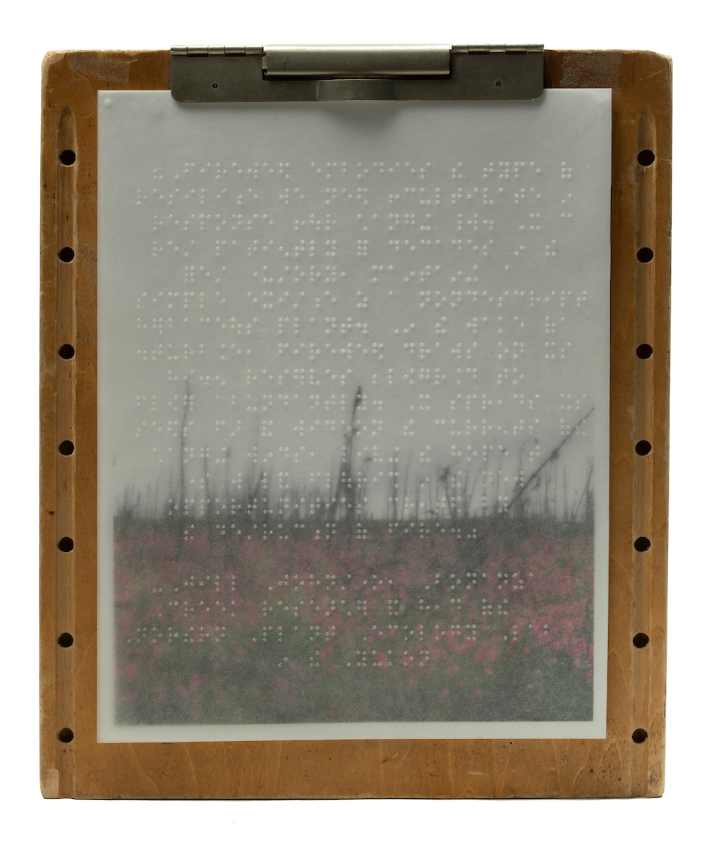 Seed Songs and Love Stories