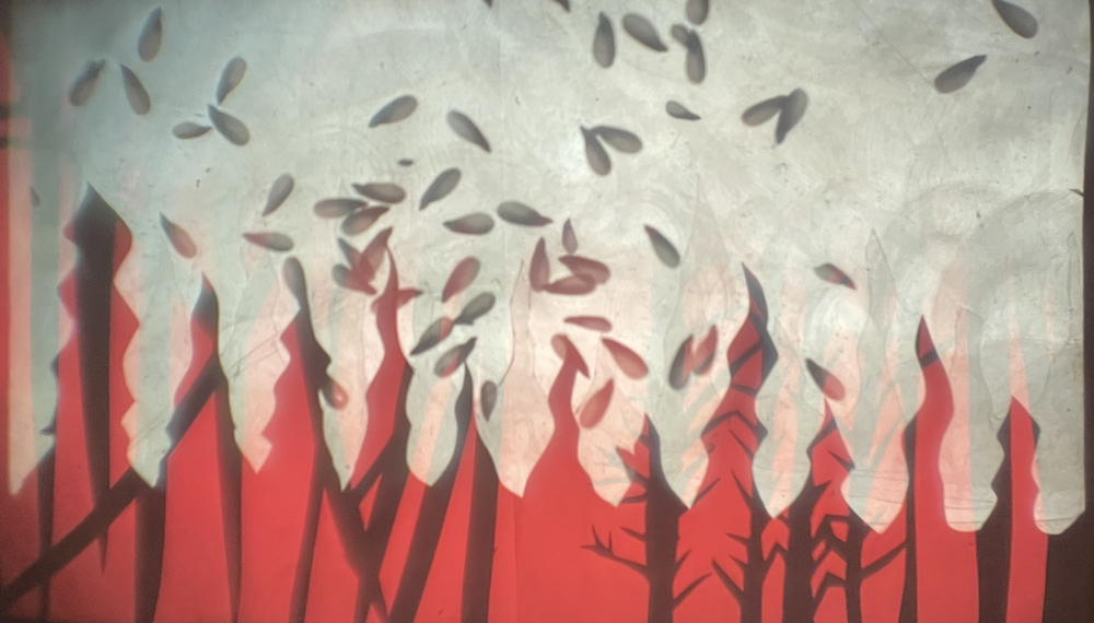 Exploring the Boreal Forest through Light, Sound, and Time