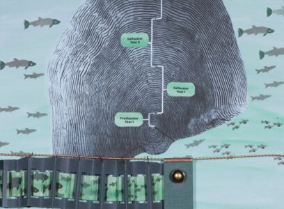 ITOC: Coastal Transitions